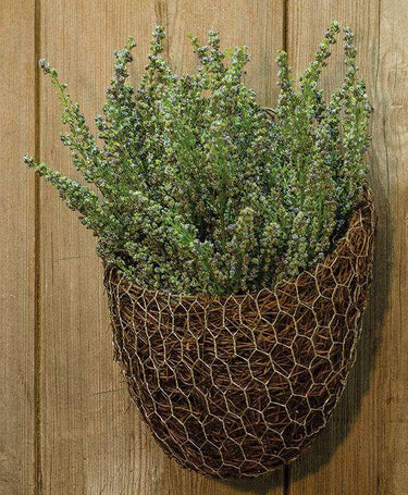 Chicken Wire & Angel Vine Wall Basket, 9x8 - The Fox Decor